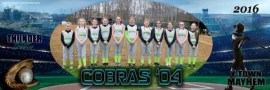 Cobras 04